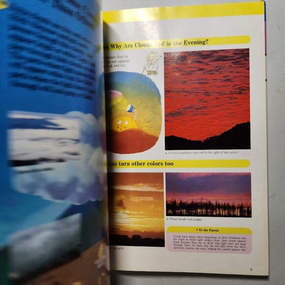 Wind and Weather Child's First Library of Learning Science Stem Book Homeschool - Picture 14 of 16
